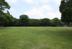 子どもとのんびり休日を過ごせる中央公園