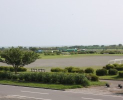 屋外のスポーツを楽しめる富士川緑地公園