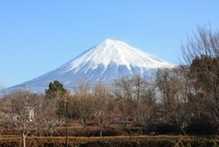 富士西公園から見える雪化粧姿の富士山